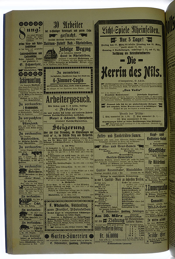 VSF_1916_33_4