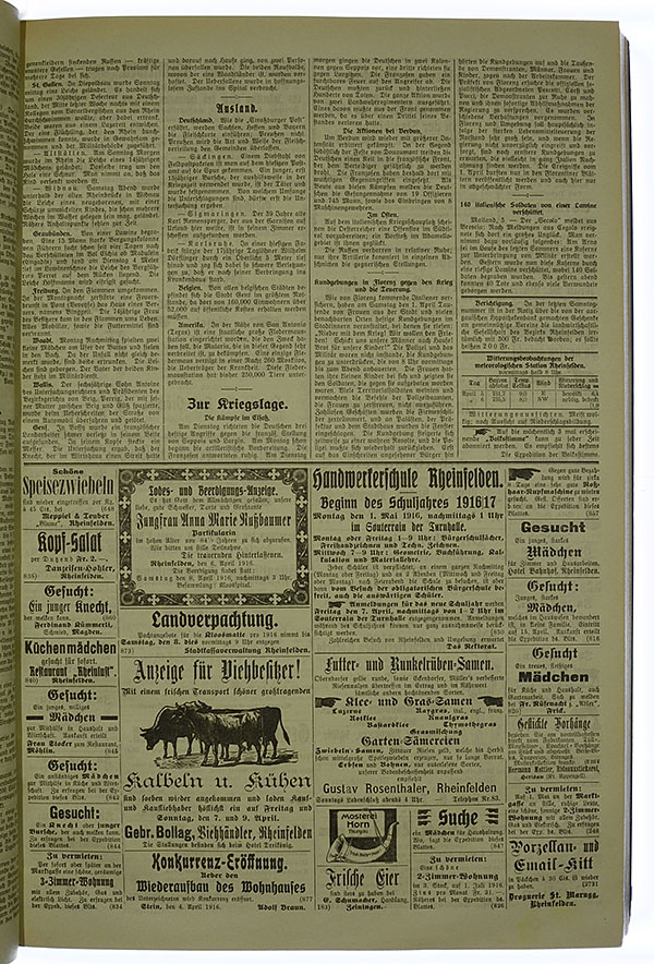 VSF_1916_42_3