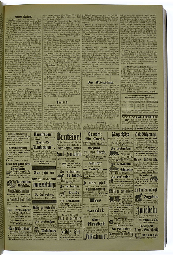 VSF_1916_43_3