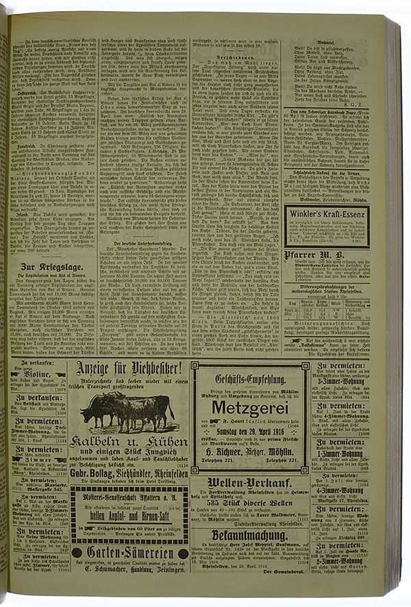 VSF_1916_53_3