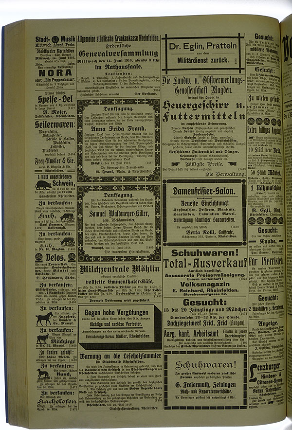 VSF_1916_71_4