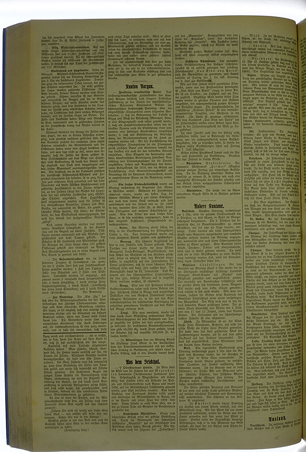 VSF_1916_81_2
