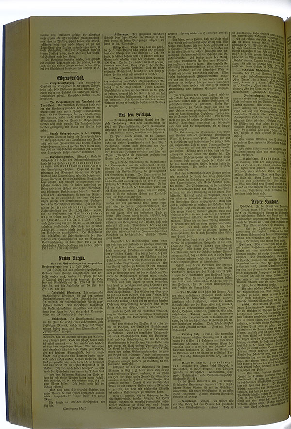 VSF_1916_88_2