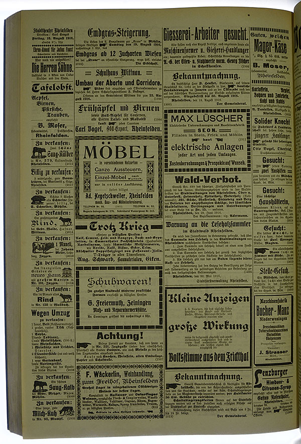 VSF_1916_99_4