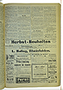 VSF_1917_113_3