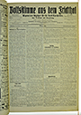 VSF_1917_41_1
