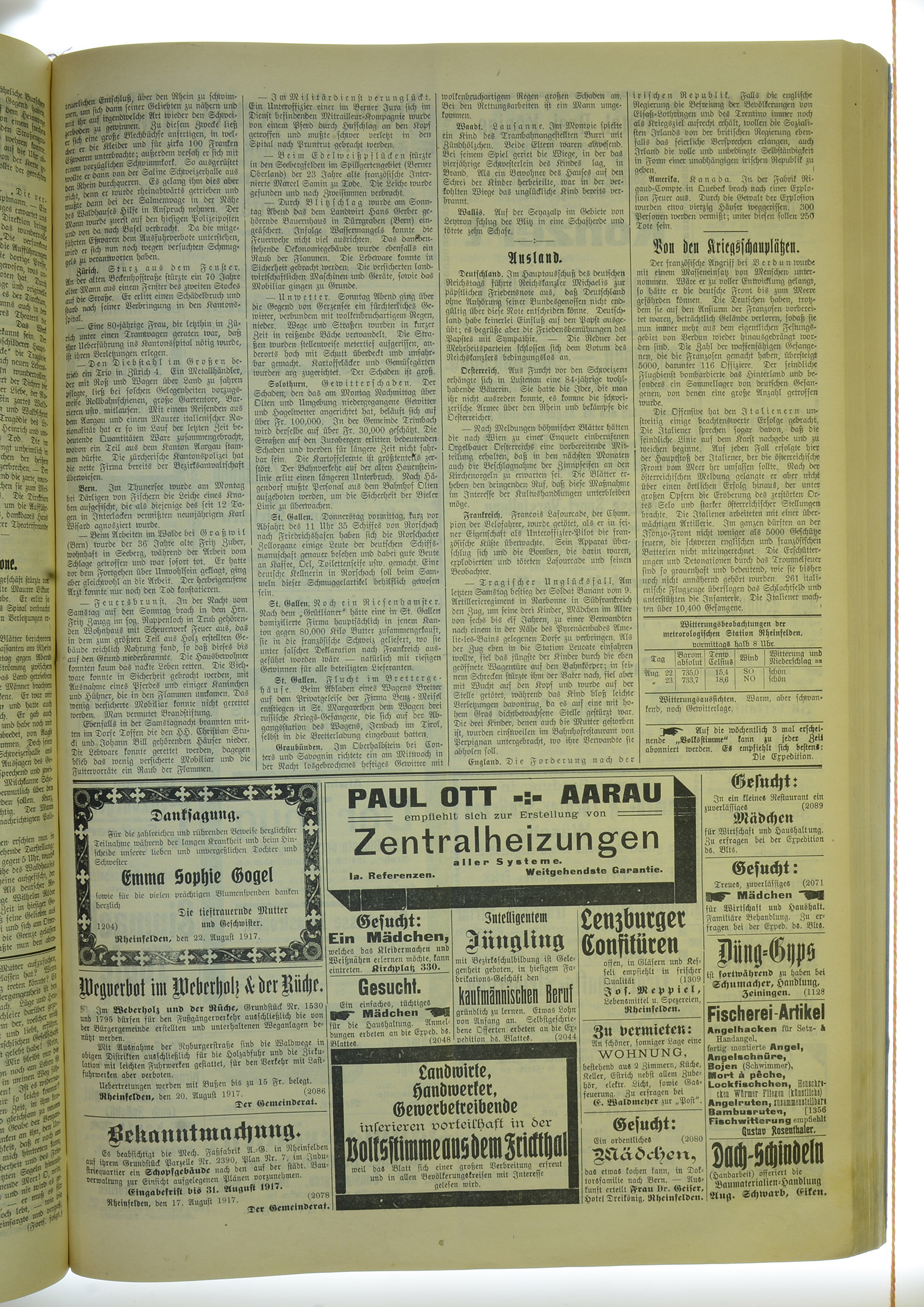 VSF_1917_101_3