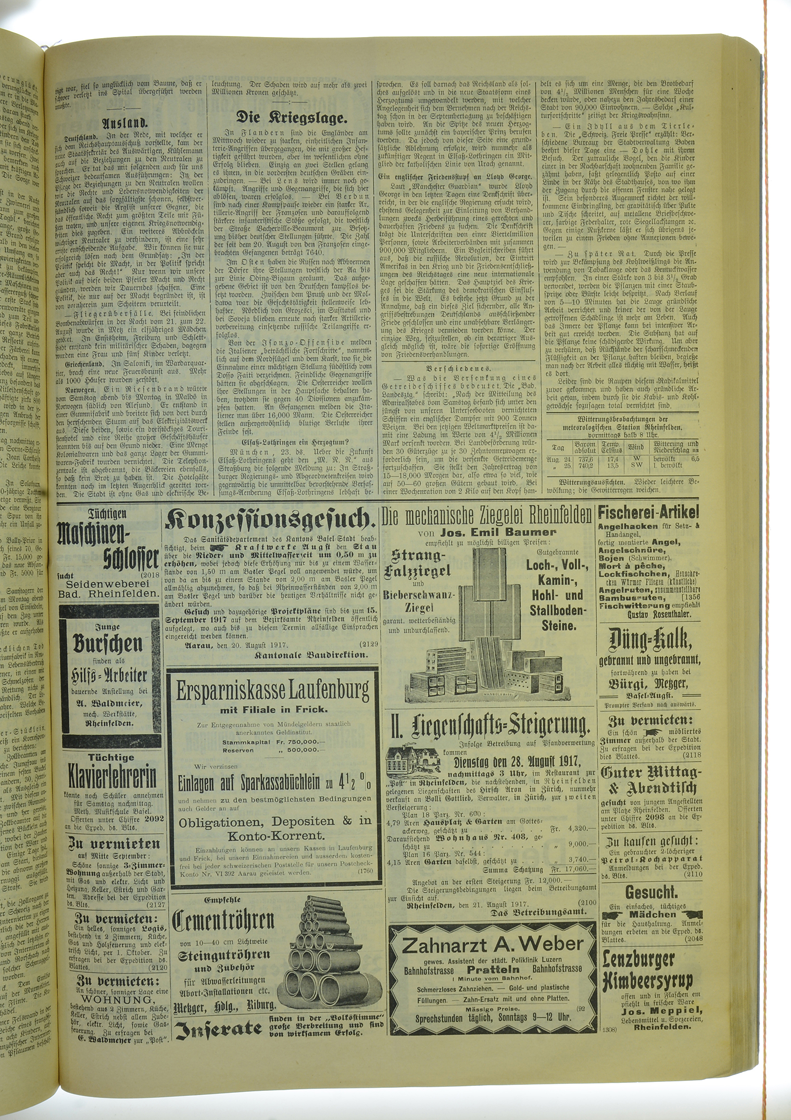 VSF_1917_102_3