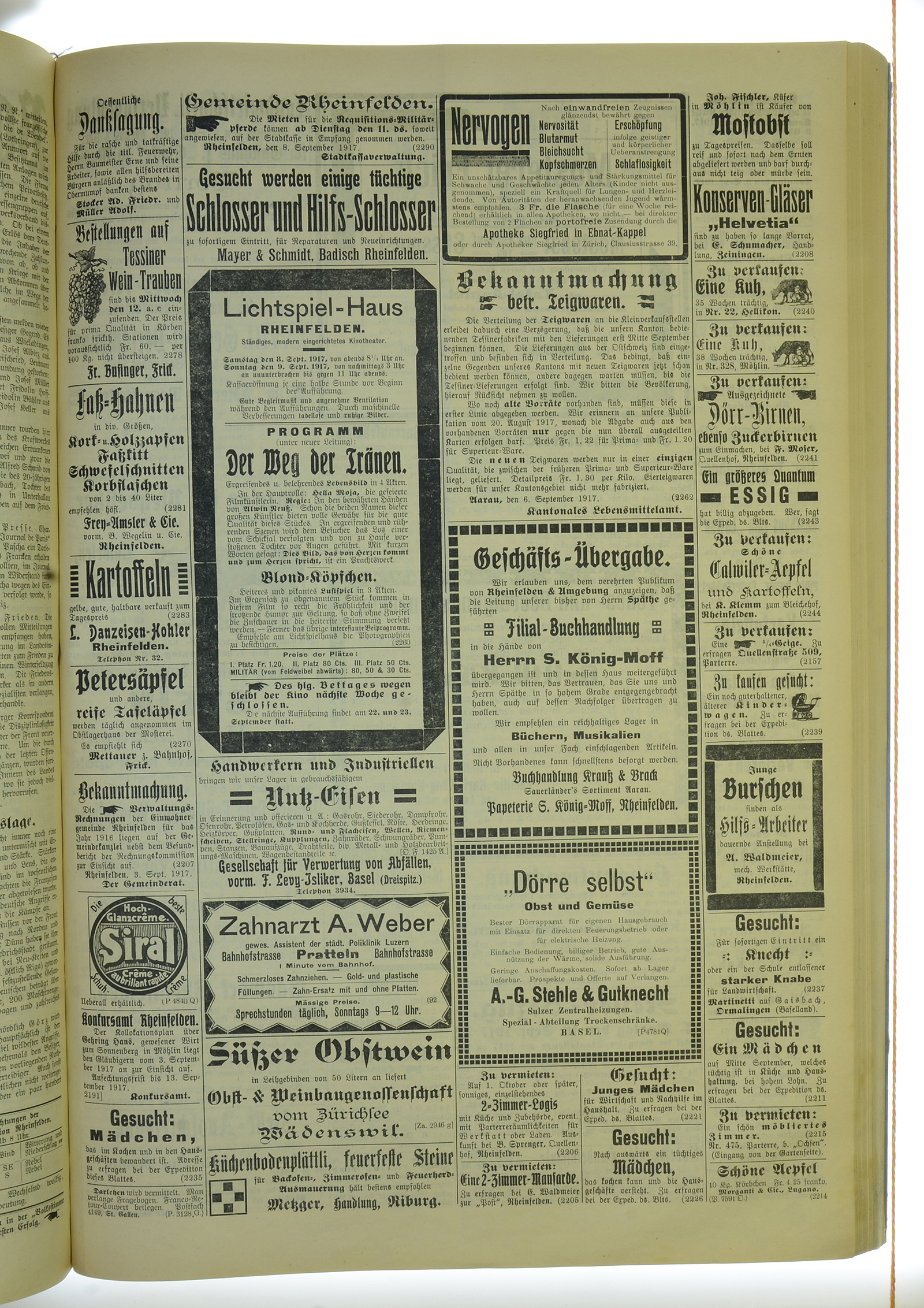 VSF_1917_108_3