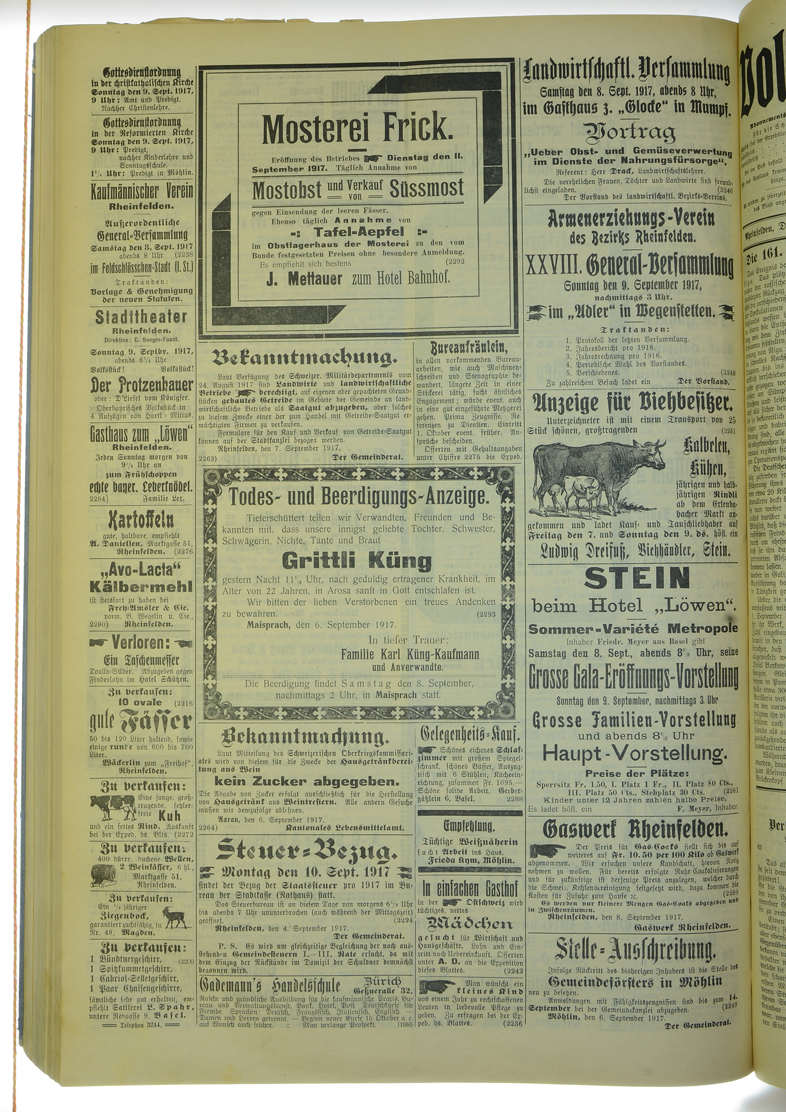 VSF_1917_108_4