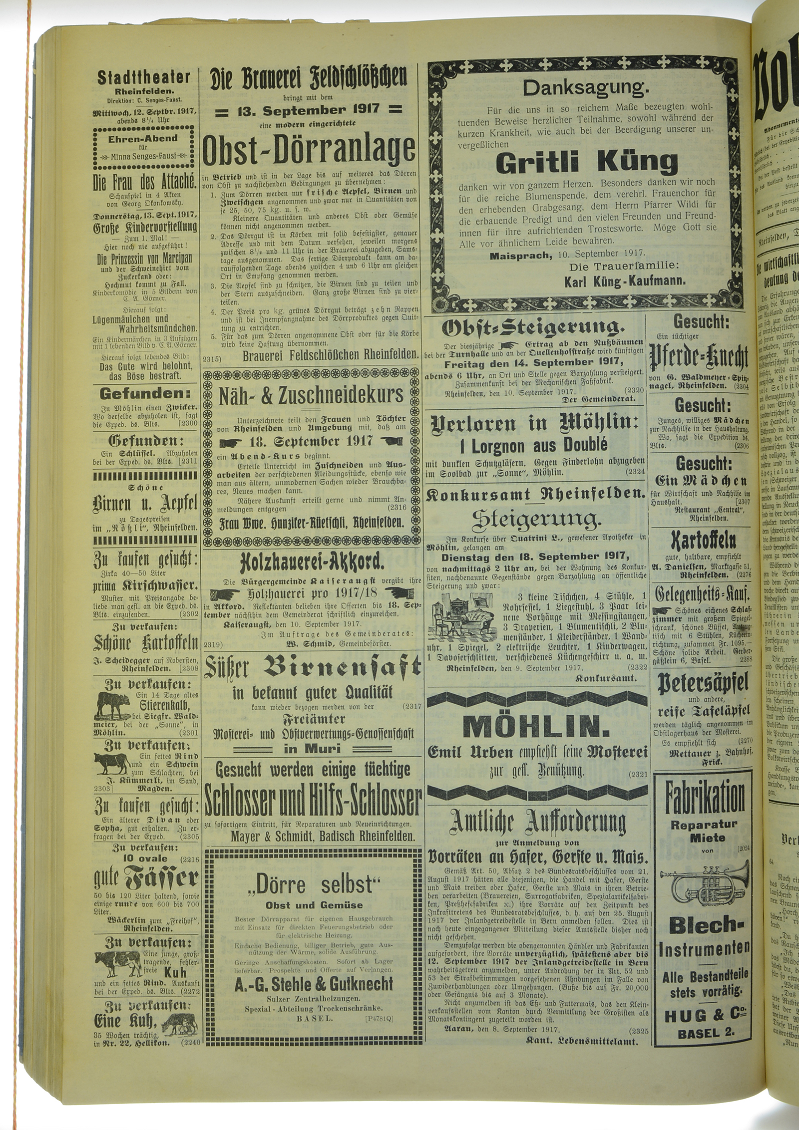 VSF_1917_109_4