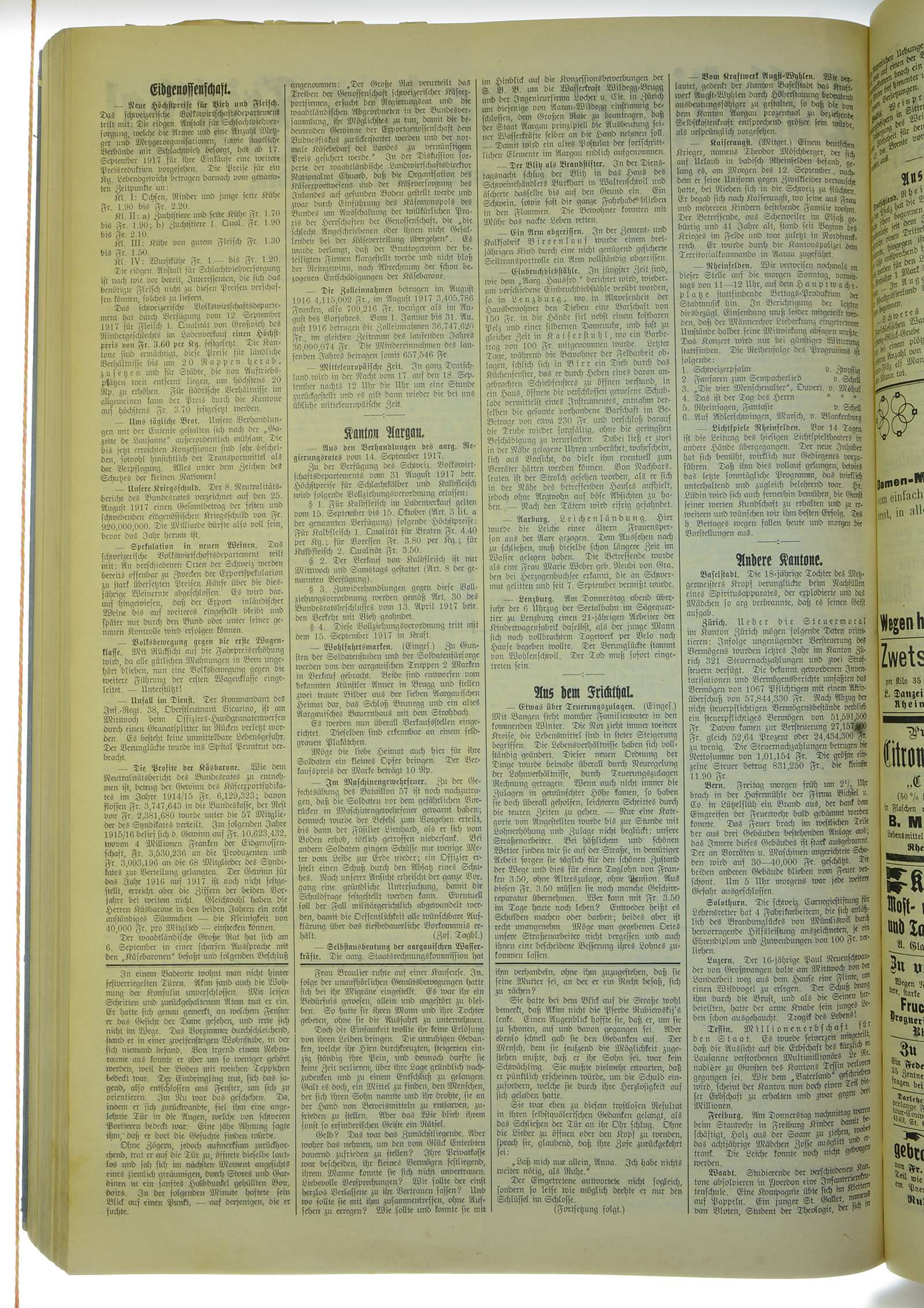 VSF_1917_111_2