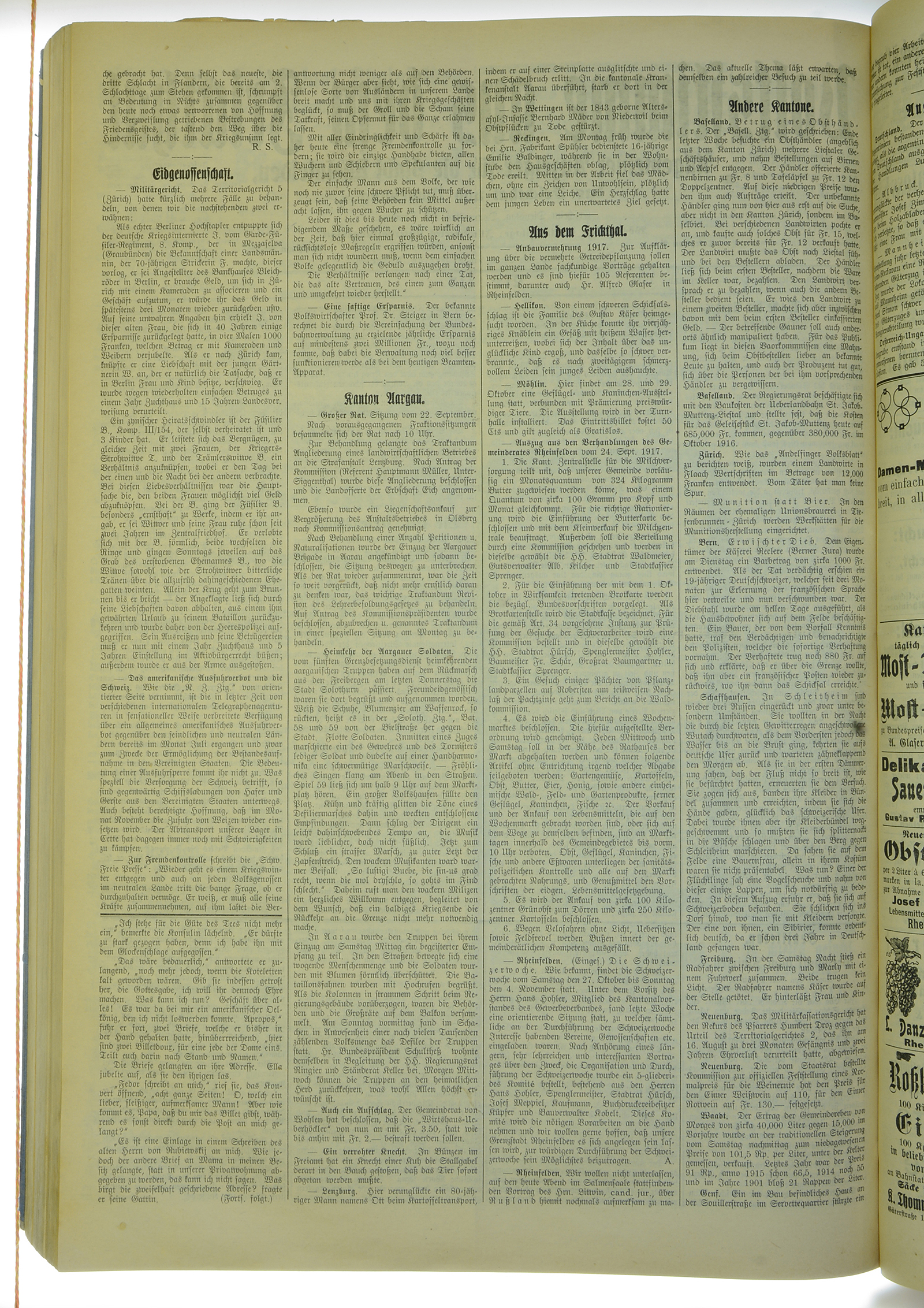 VSF_1917_115_2