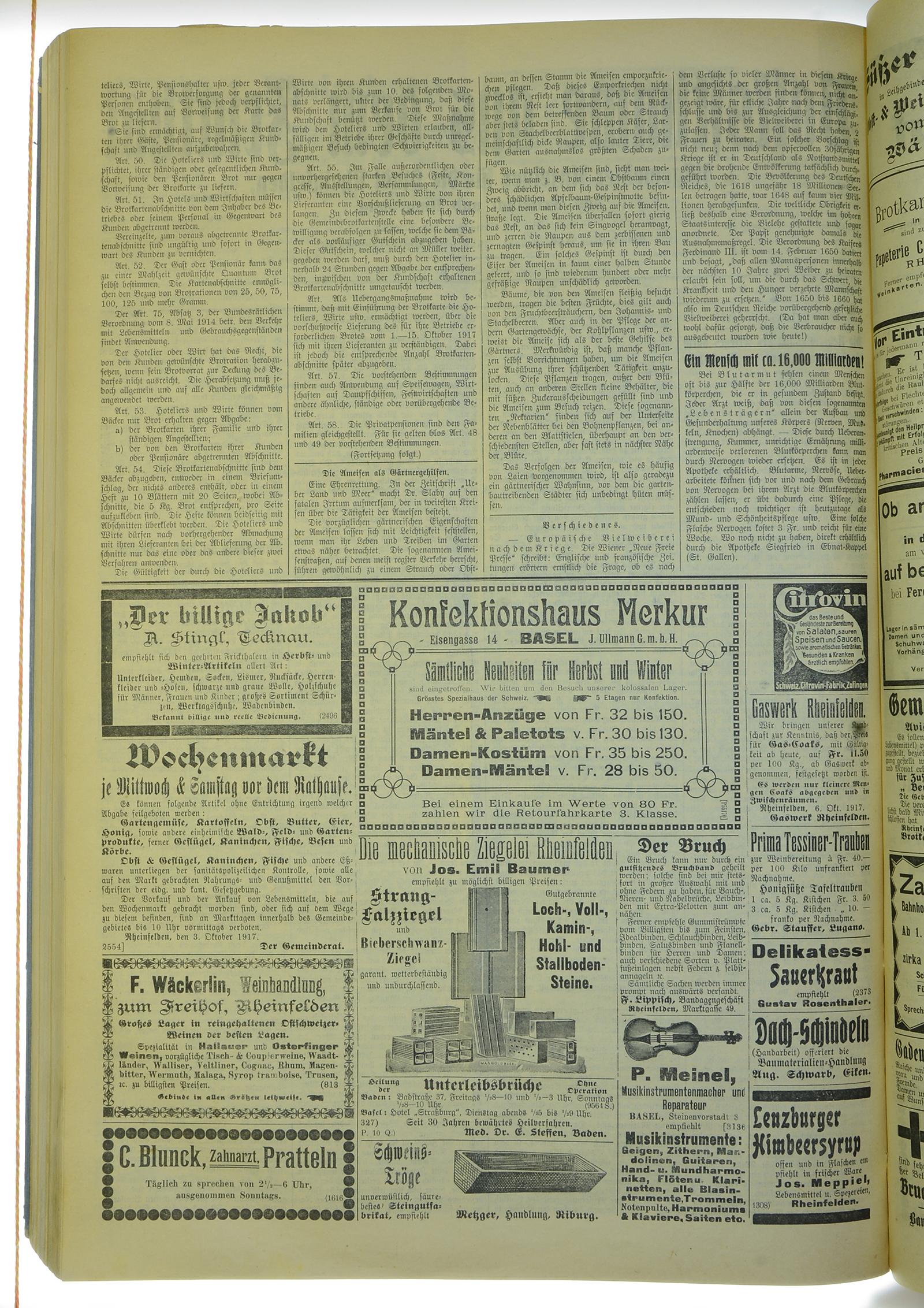 VSF_1917_123_6