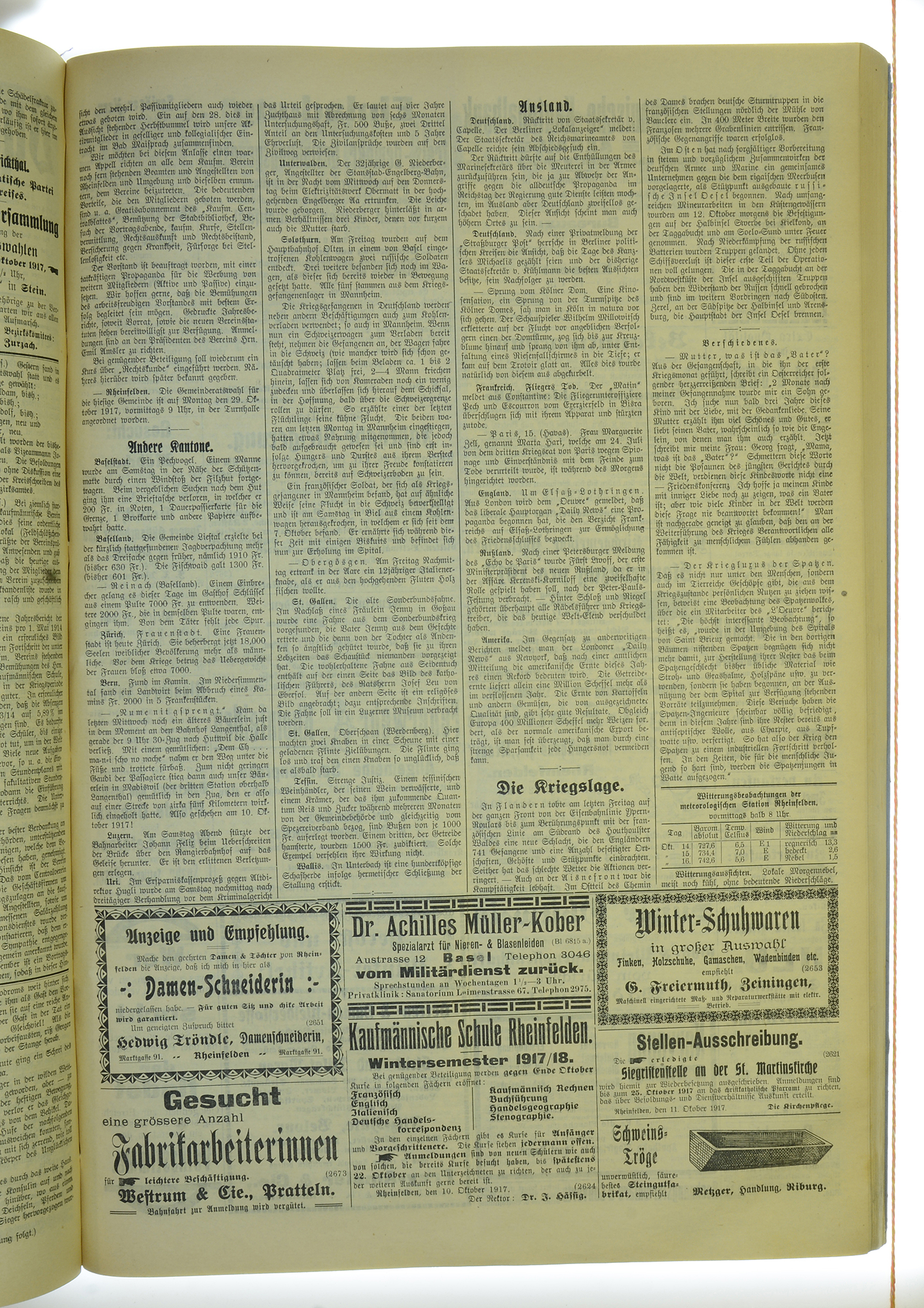 VSF_1917_124_3