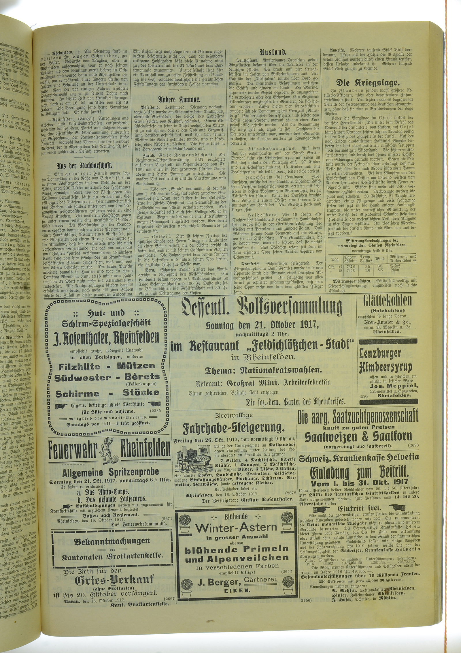 VSF_1917_125_3