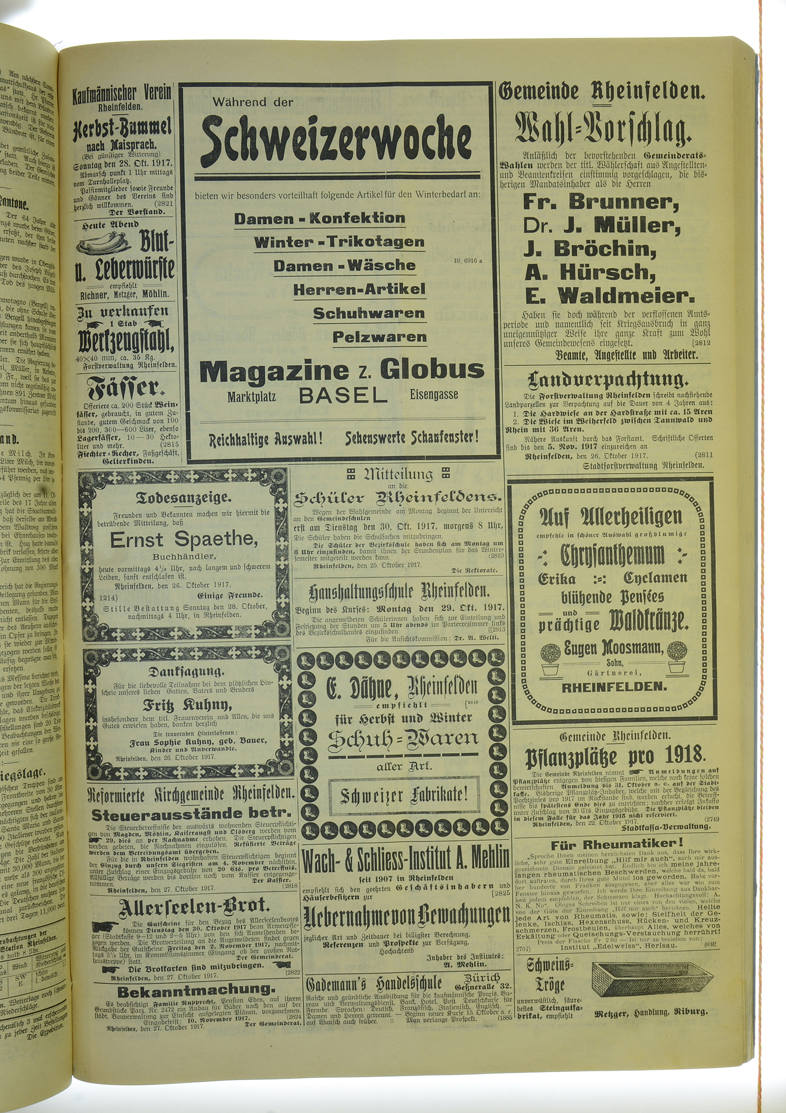 VSF_1917_129_3