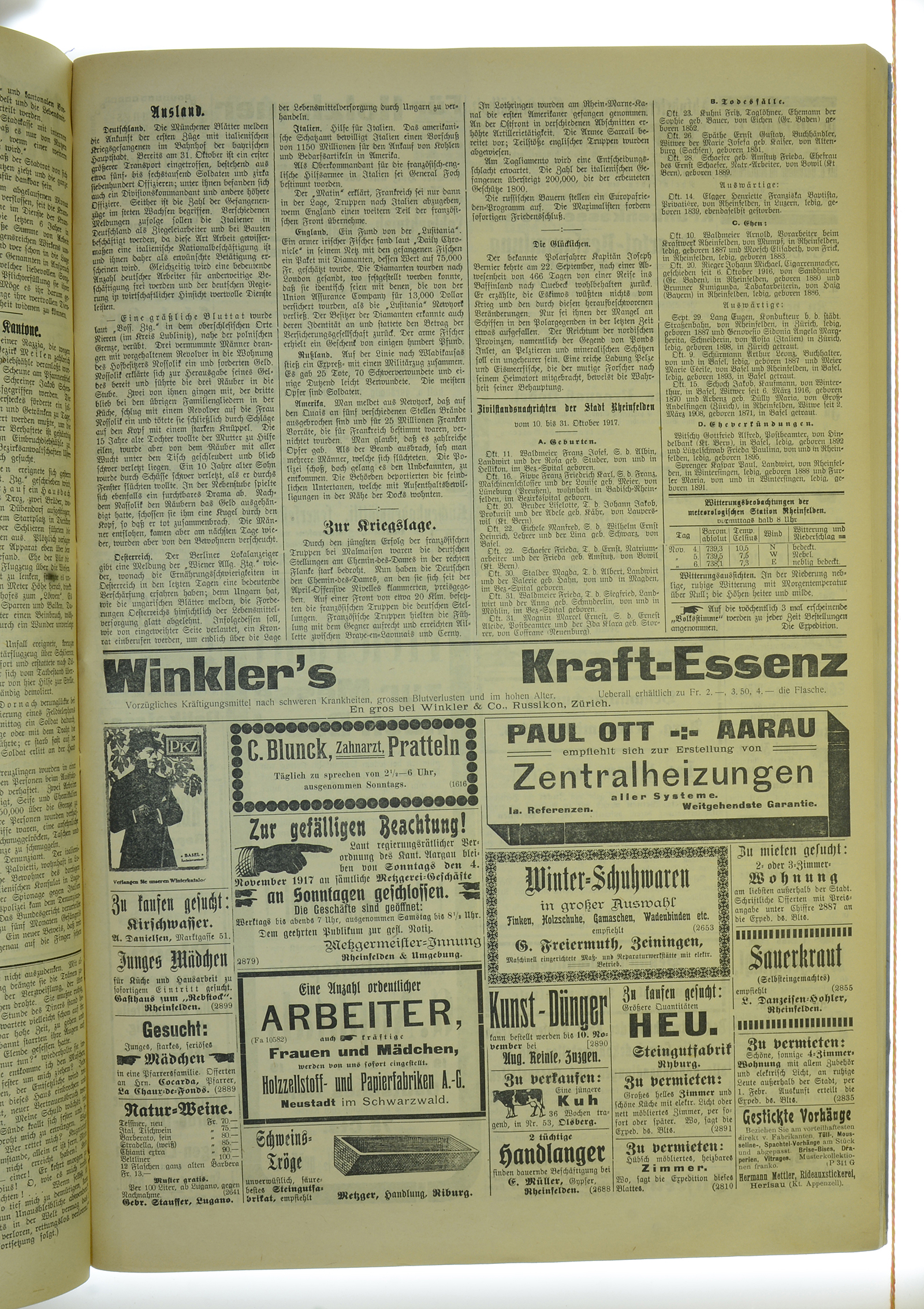 VSF_1917_133_3