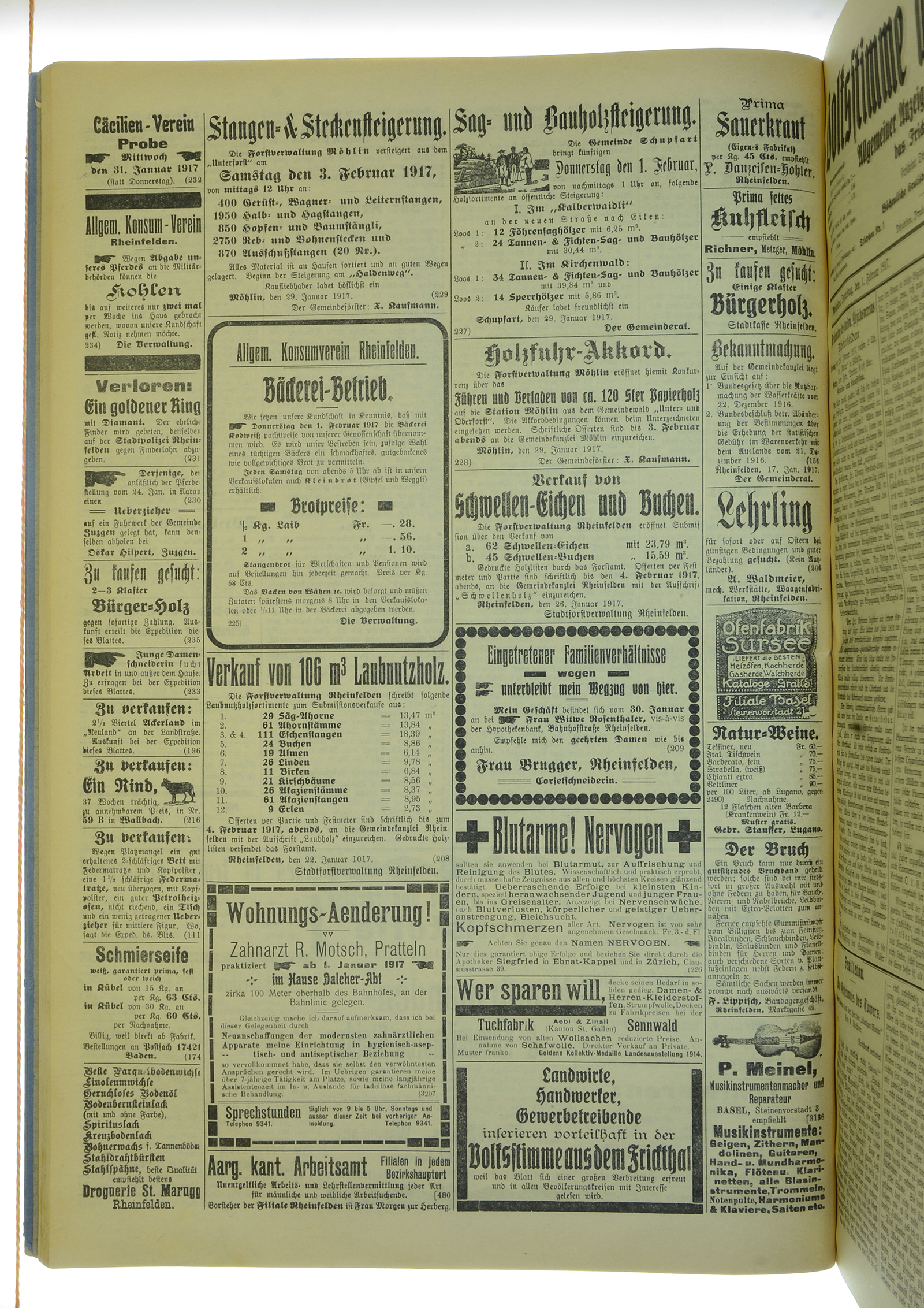 VSF_1917_13_4