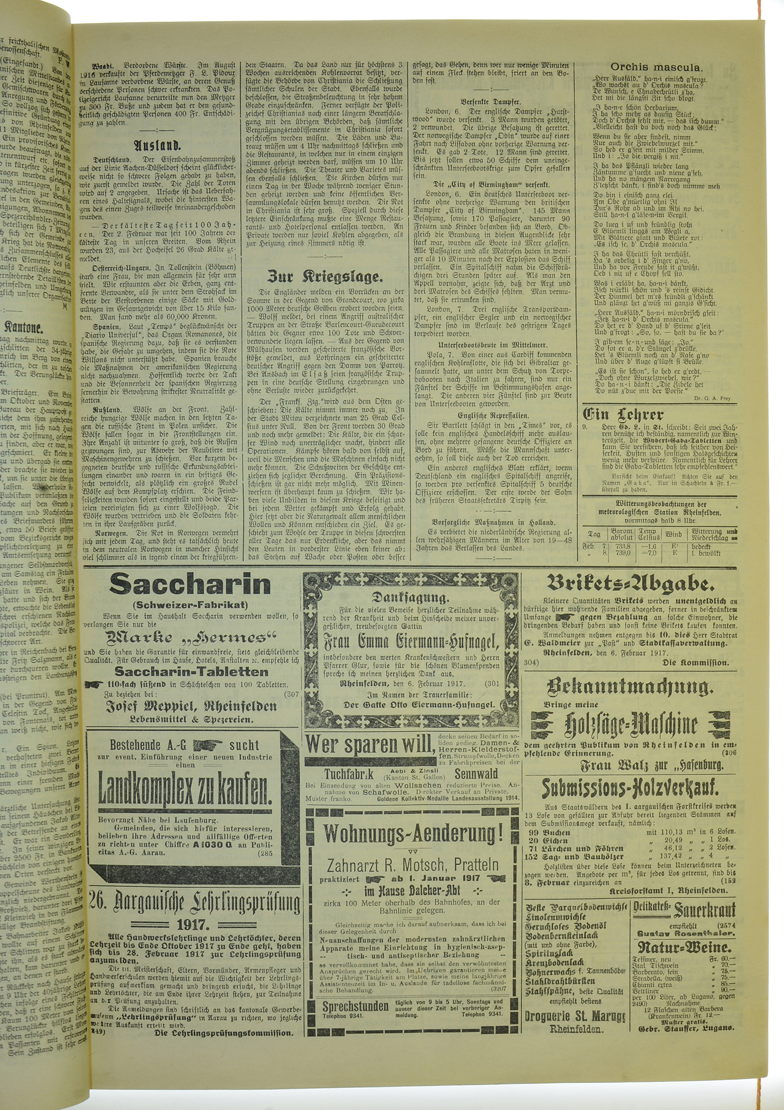 VSF_1917_17_3