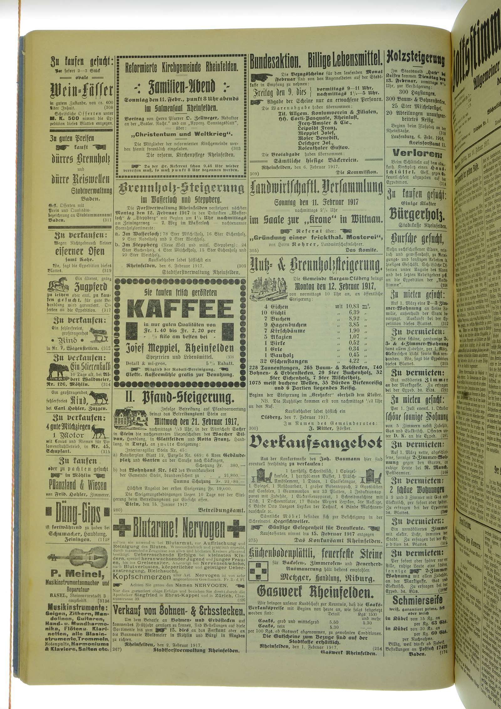 VSF_1917_17_4