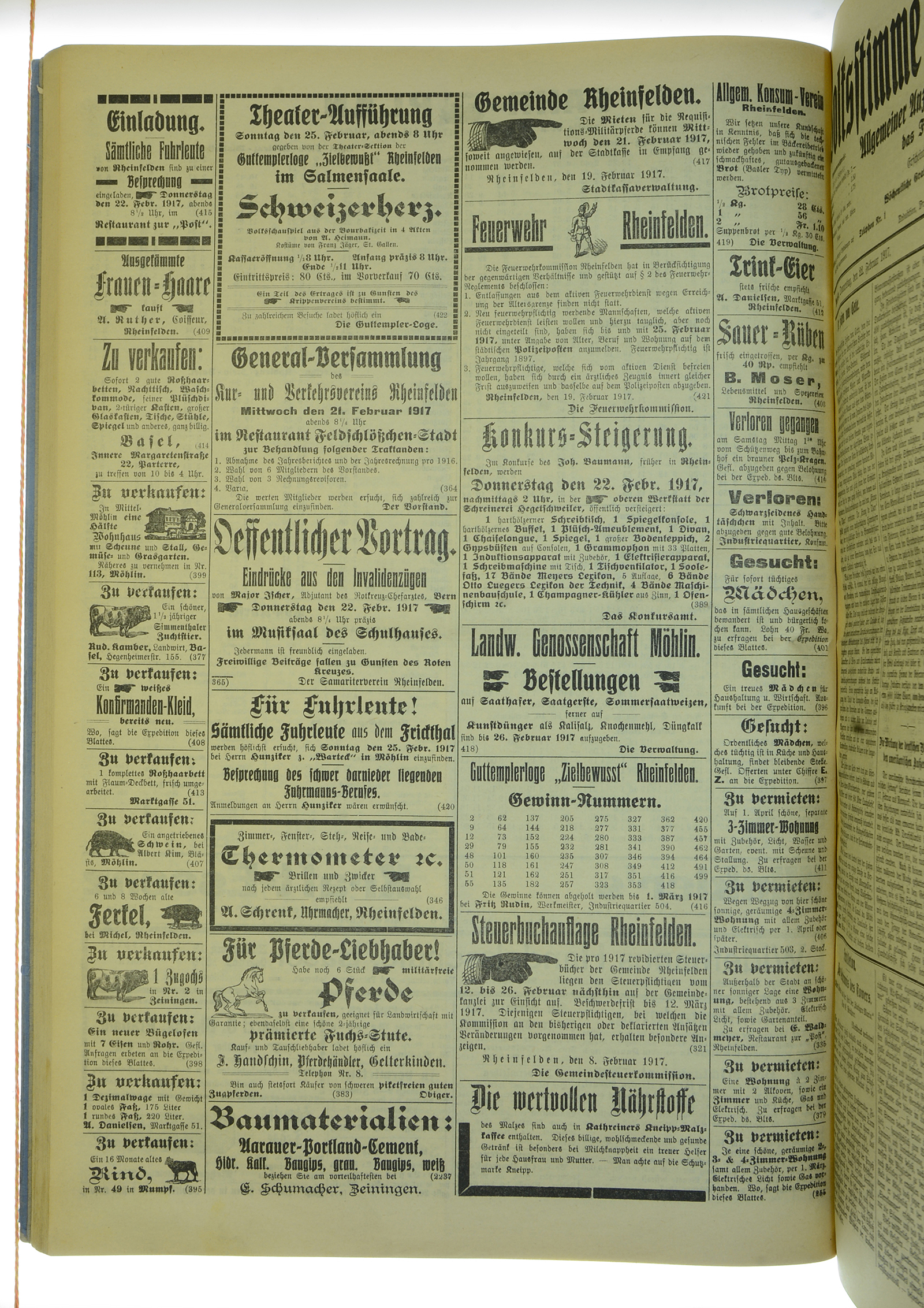 VSF_1917_22_4