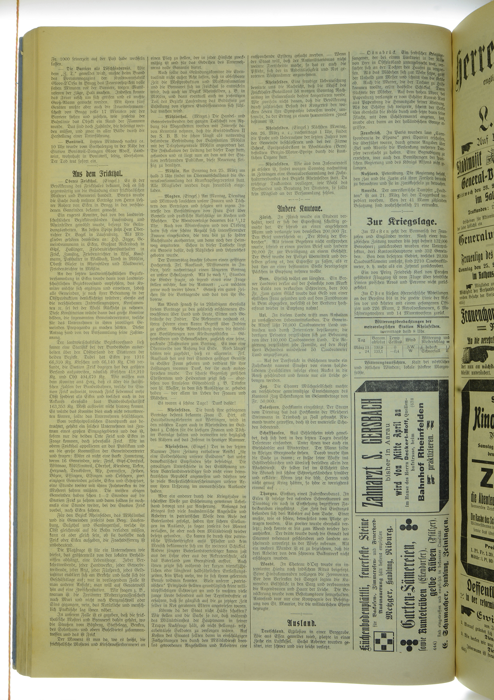 VSF_1917_36_2