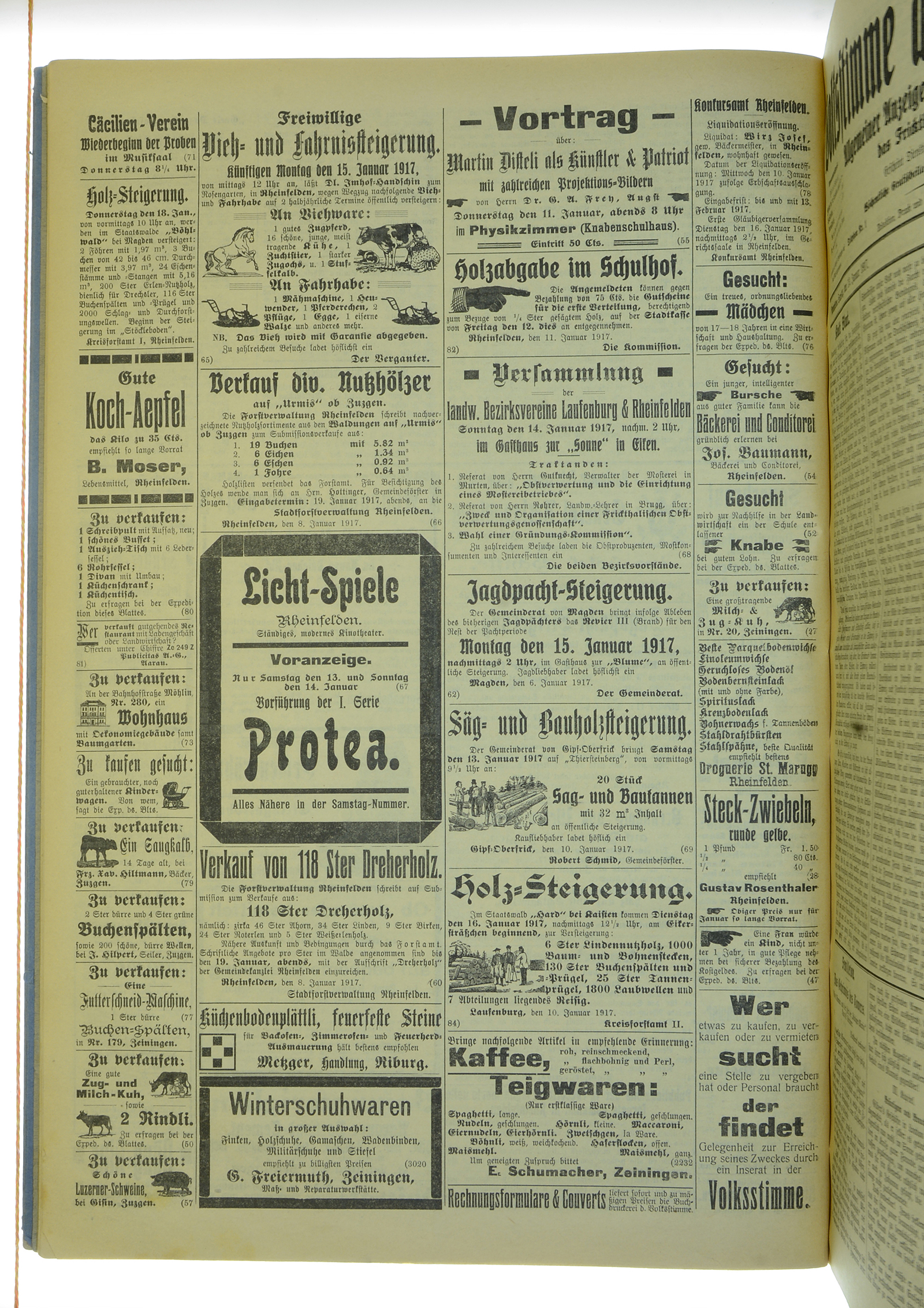 VSF_1917_5_4