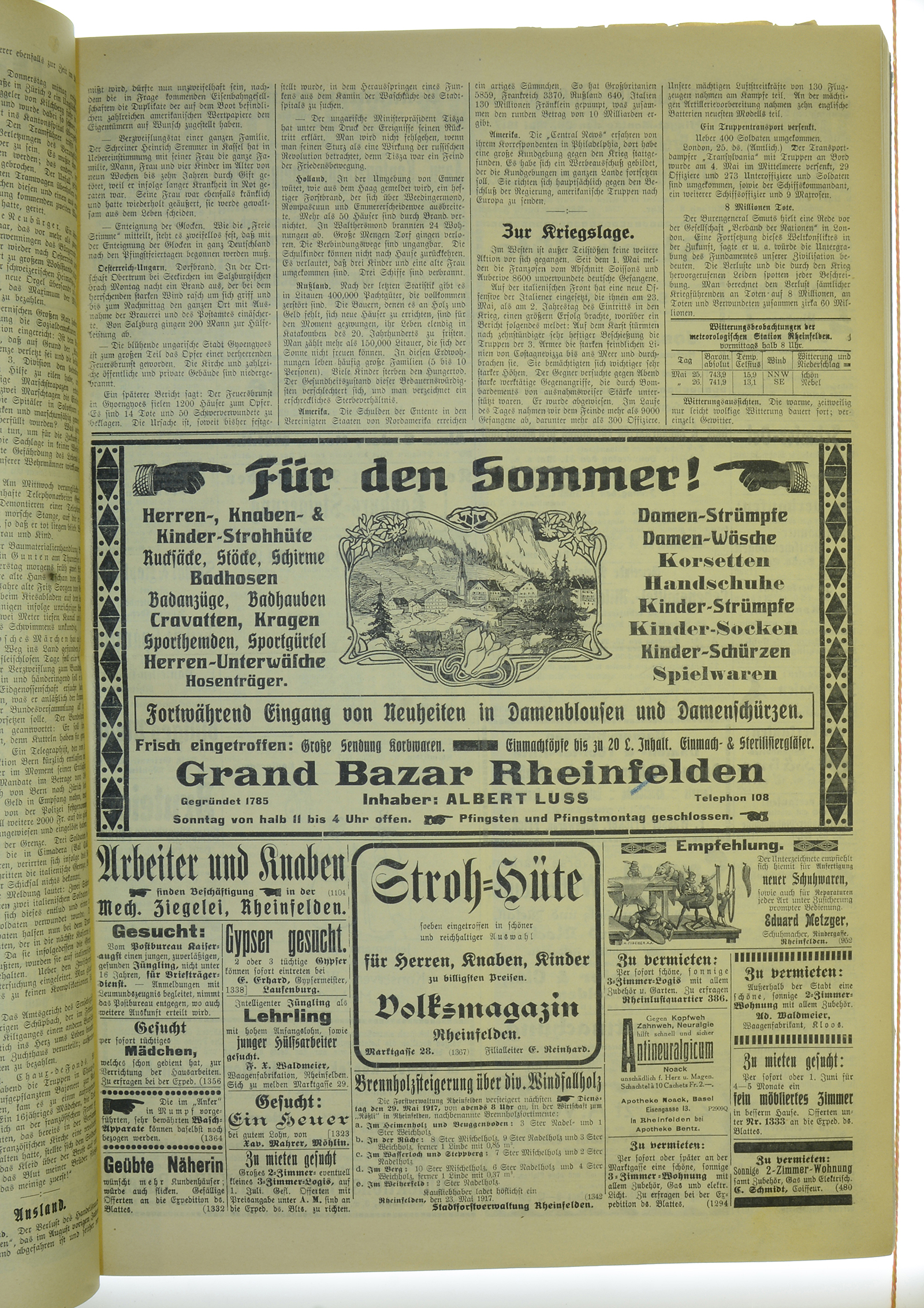 VSF_1917_63_3