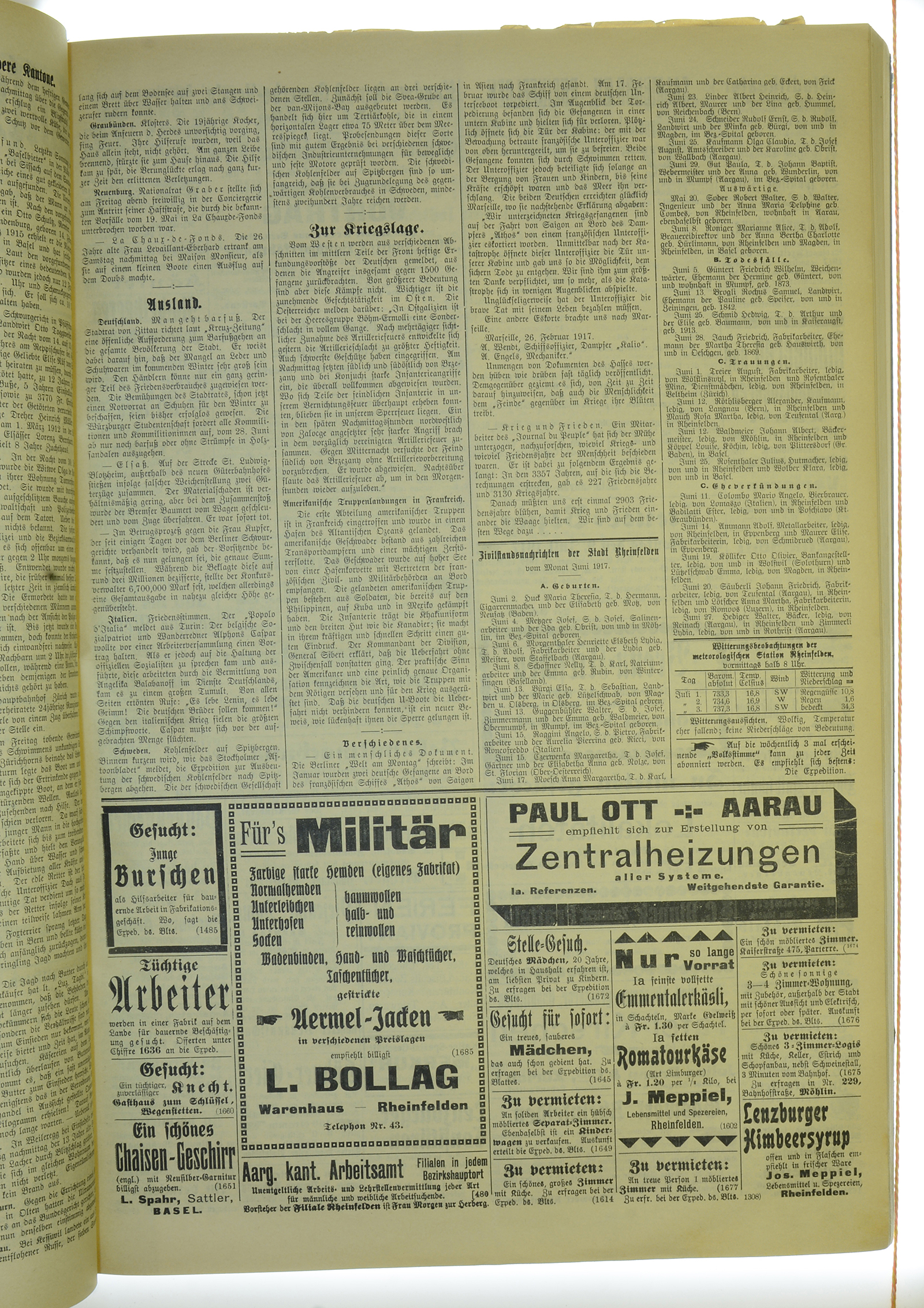 VSF_1917_79_3
