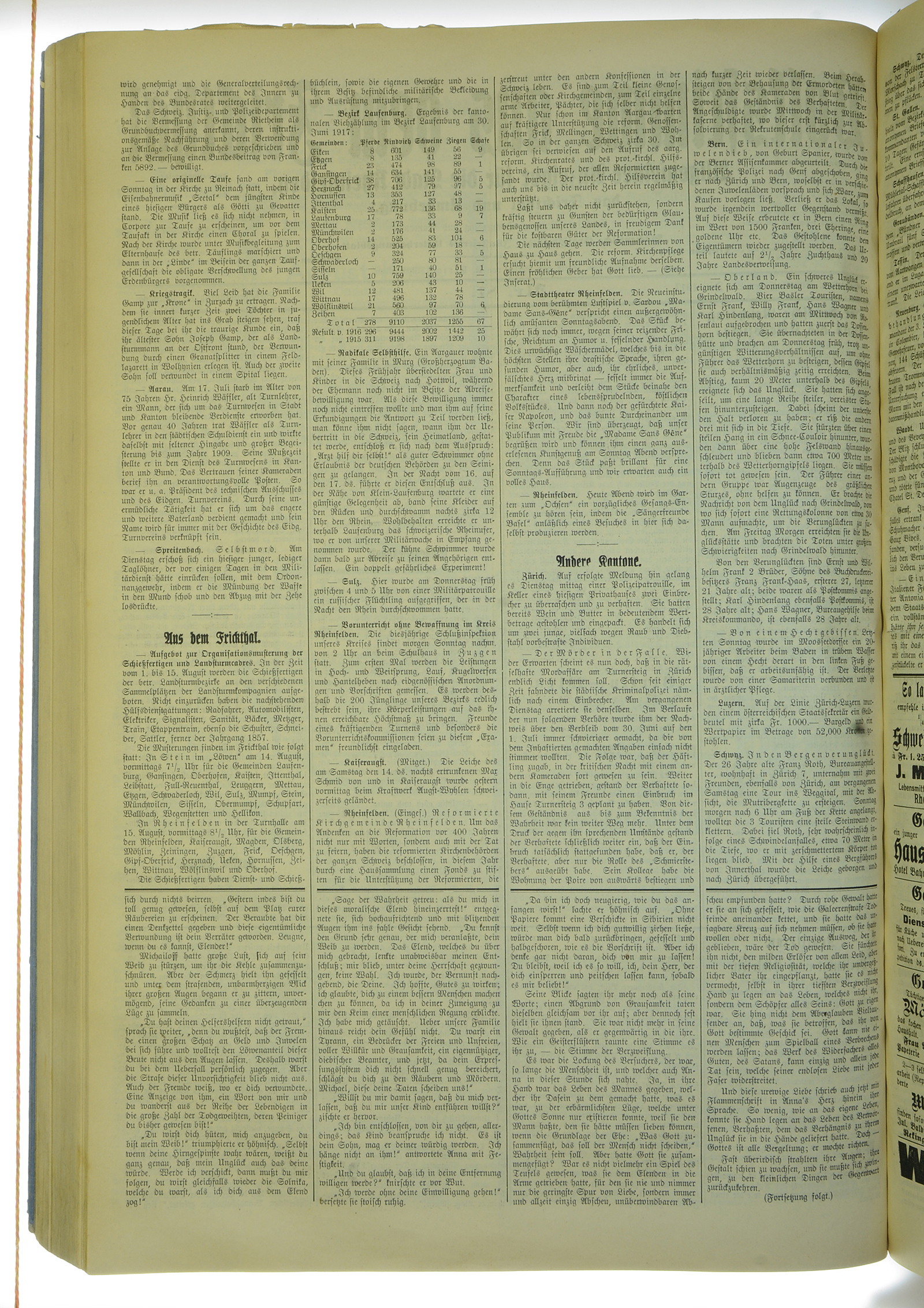 VSF_1917_87_2