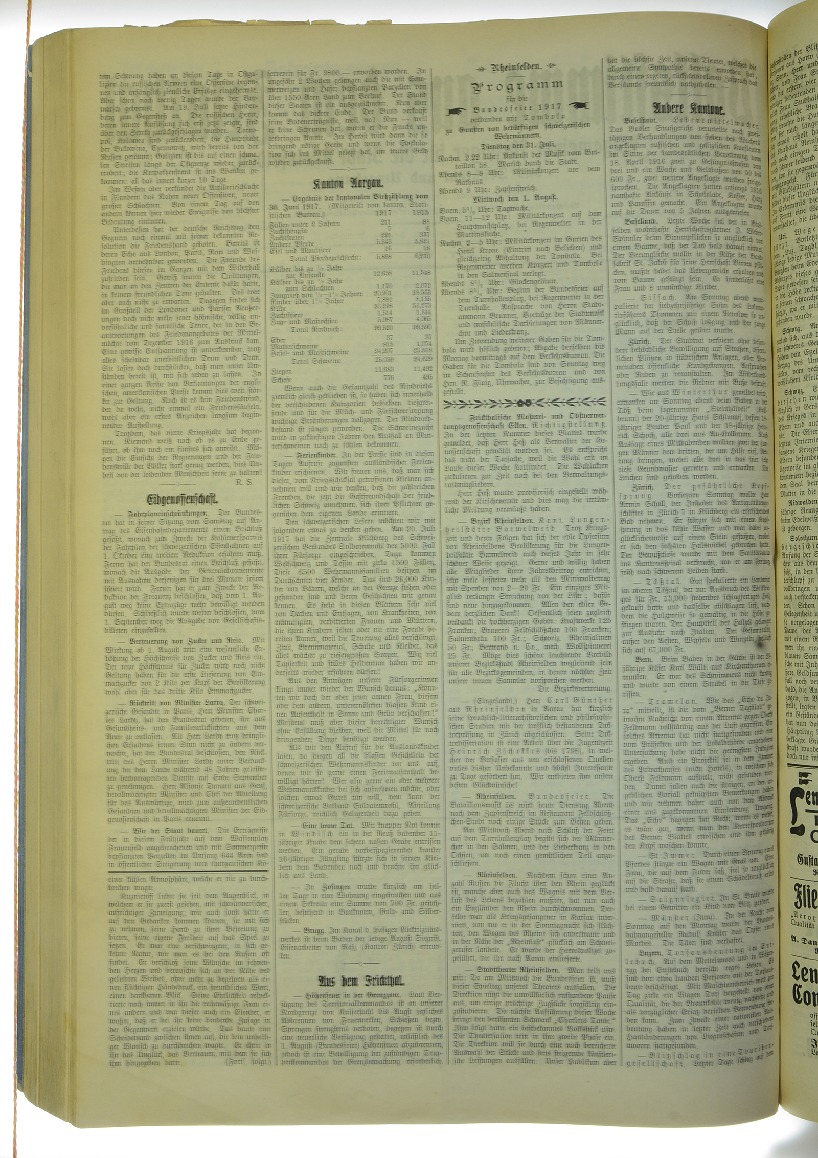 VSF_1917_91_2