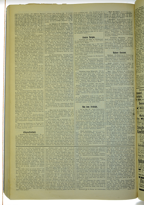 VSF_1917_100_2
