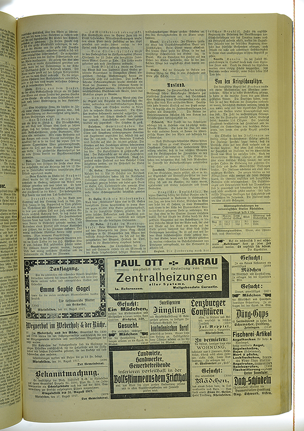 VSF_1917_101_3