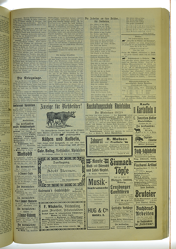 VSF_1917_106_3