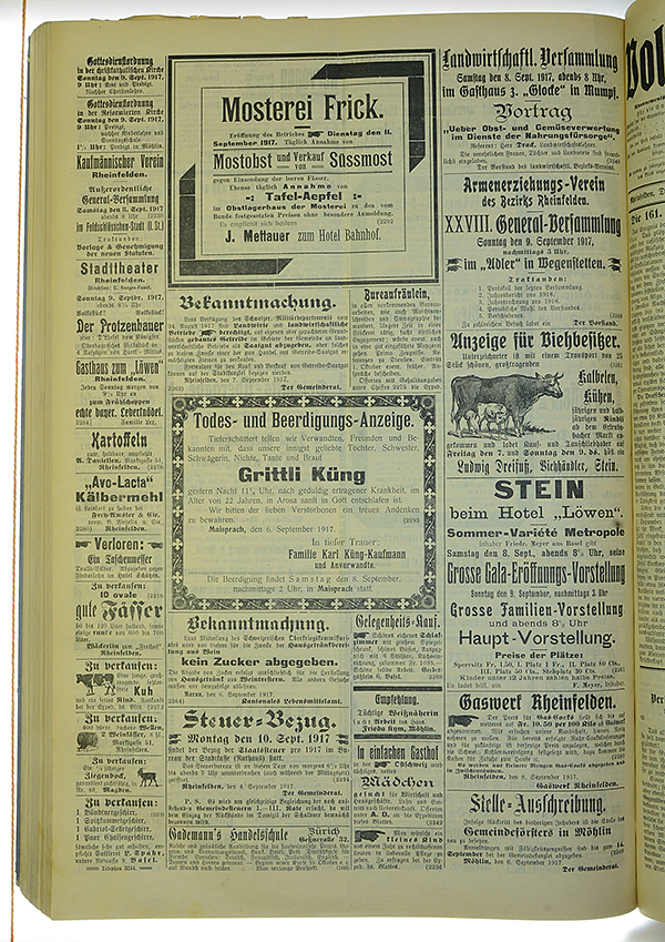 VSF_1917_108_4