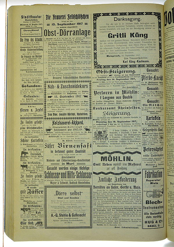 VSF_1917_109_4