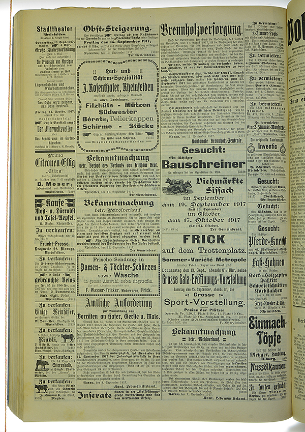 VSF_1917_110_4