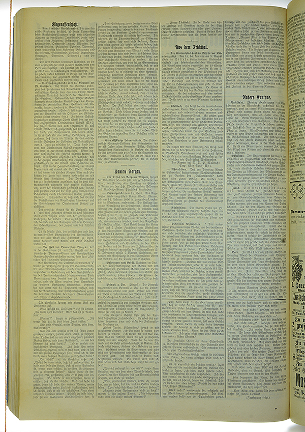 VSF_1917_113_2