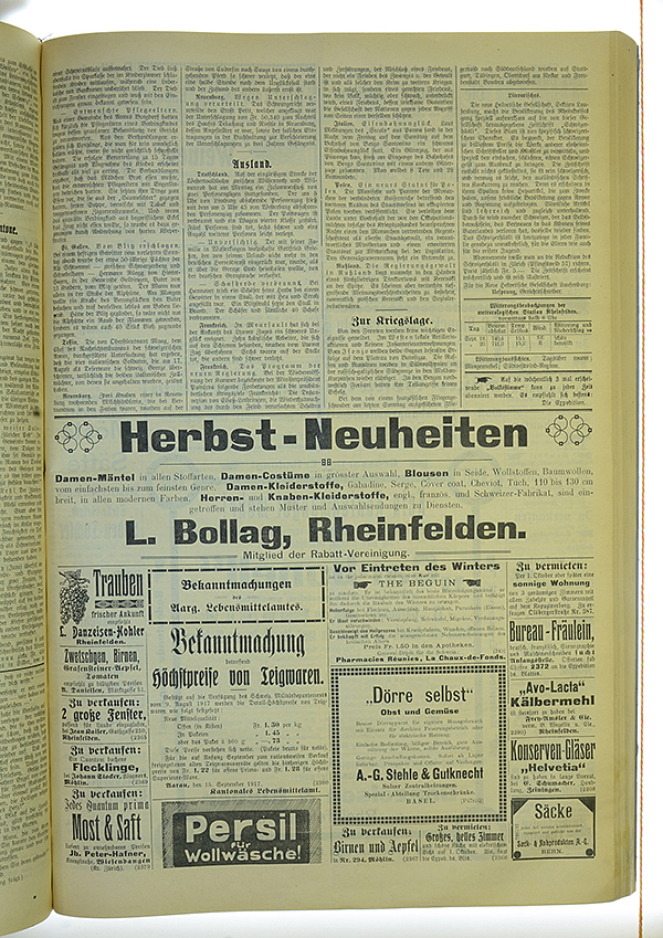 VSF_1917_113_3