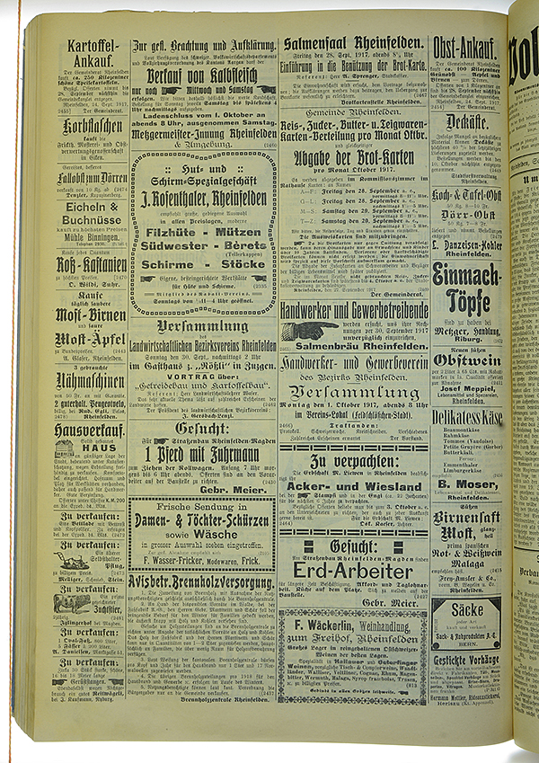 VSF_1917_116_4