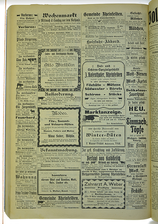 VSF_1917_119_4