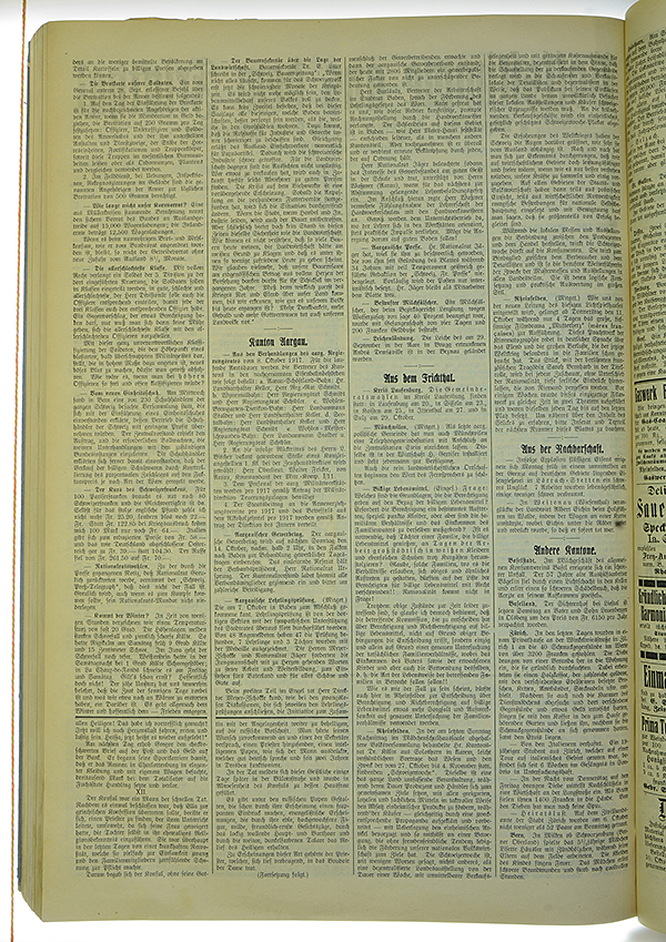 VSF_1917_121_2