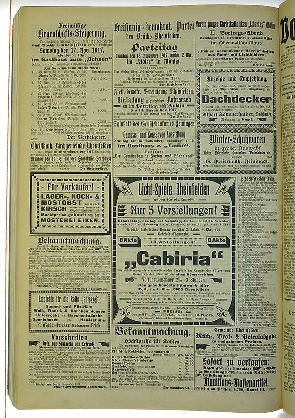 VSF_1917_137_4