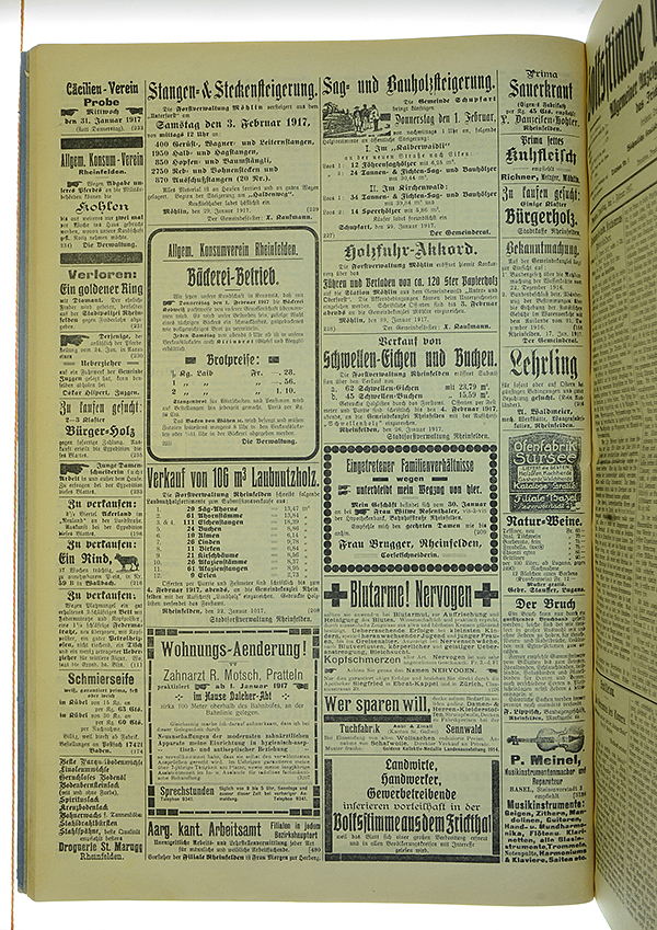 VSF_1917_13_4