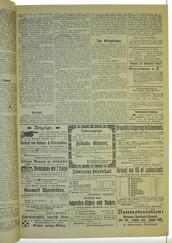 VSF_1917_15_3