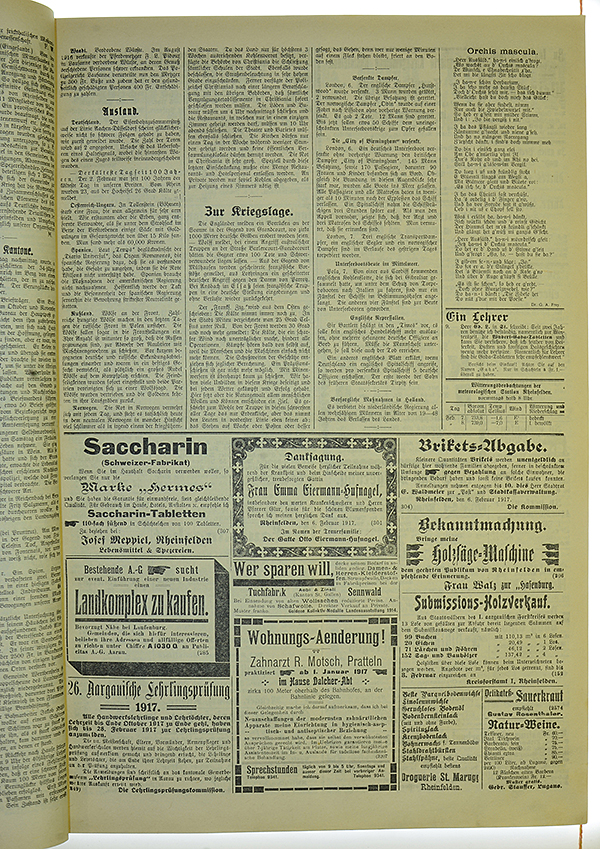 VSF_1917_17_3
