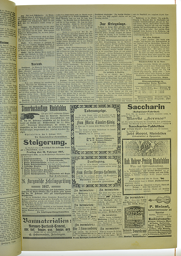 VSF_1917_20_3