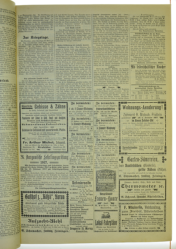 VSF_1917_25_3