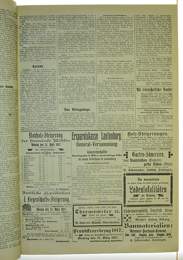 VSF_1917_29_3